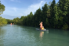 SUP between mangroves in Zanzibar