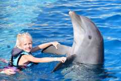 Dolphin swimming in Punta Cana Dominican Republic